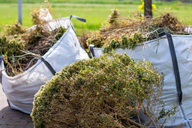 Best Electronics and E-Waste Disposal  in Faribault, MN
