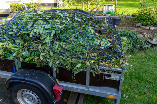  Faribault, MN Junk Removal Services Pros